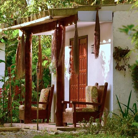 Villa Casa A Beira Do Rio Jaguareguava Na Mata Atlantica Em Bertioga Sp Exterior foto
