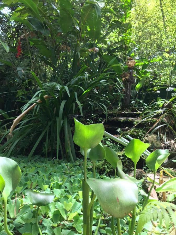 Villa Casa A Beira Do Rio Jaguareguava Na Mata Atlantica Em Bertioga Sp Exterior foto