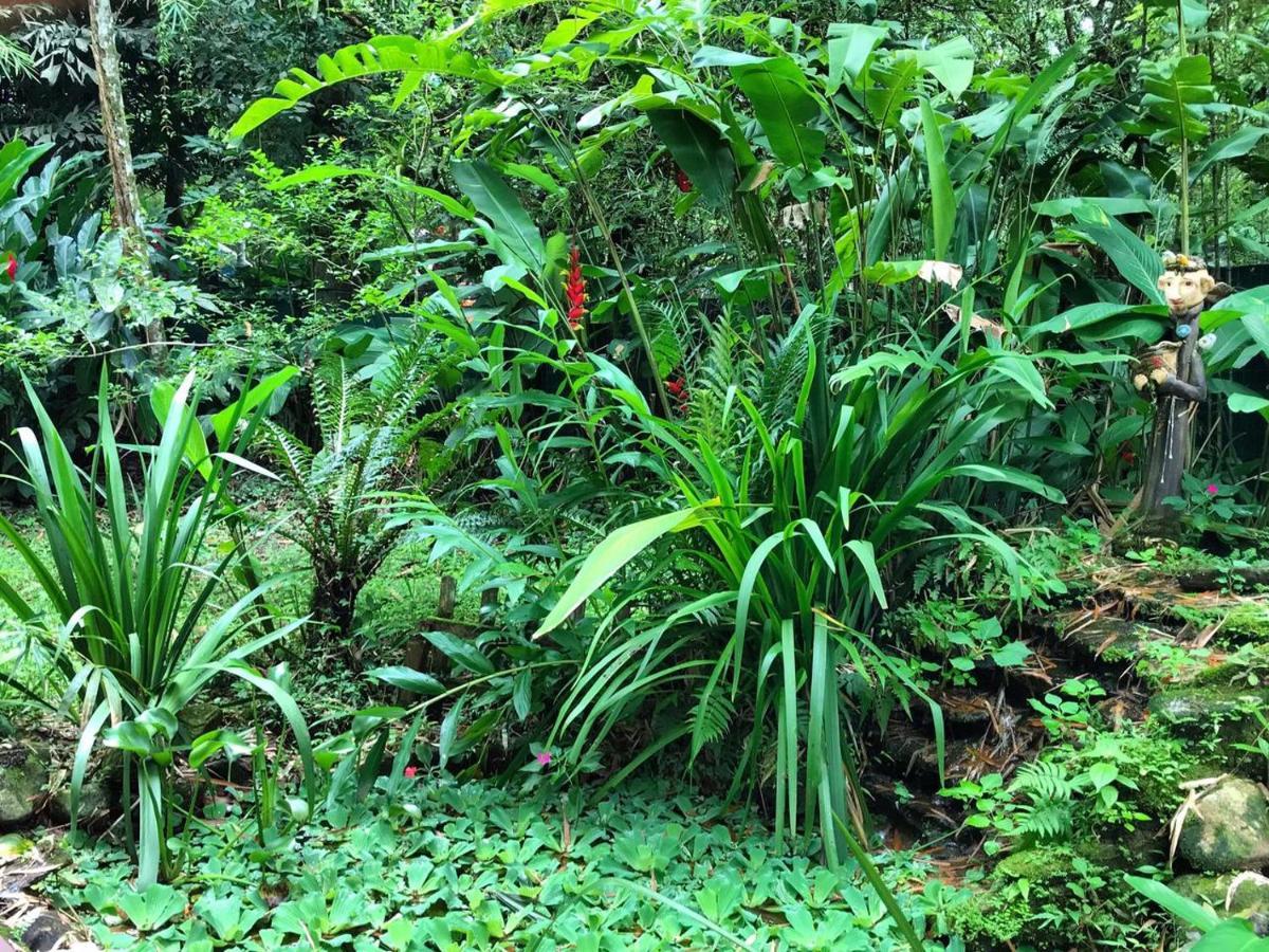 Villa Casa A Beira Do Rio Jaguareguava Na Mata Atlantica Em Bertioga Sp Exterior foto