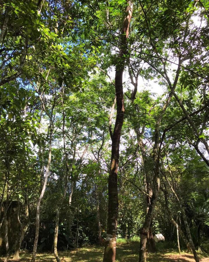 Villa Casa A Beira Do Rio Jaguareguava Na Mata Atlantica Em Bertioga Sp Exterior foto