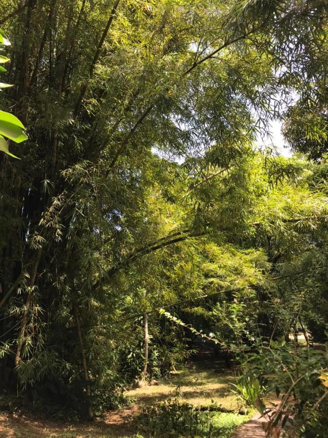 Villa Casa A Beira Do Rio Jaguareguava Na Mata Atlantica Em Bertioga Sp Exterior foto
