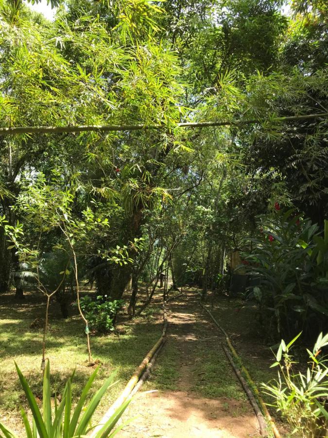 Villa Casa A Beira Do Rio Jaguareguava Na Mata Atlantica Em Bertioga Sp Exterior foto