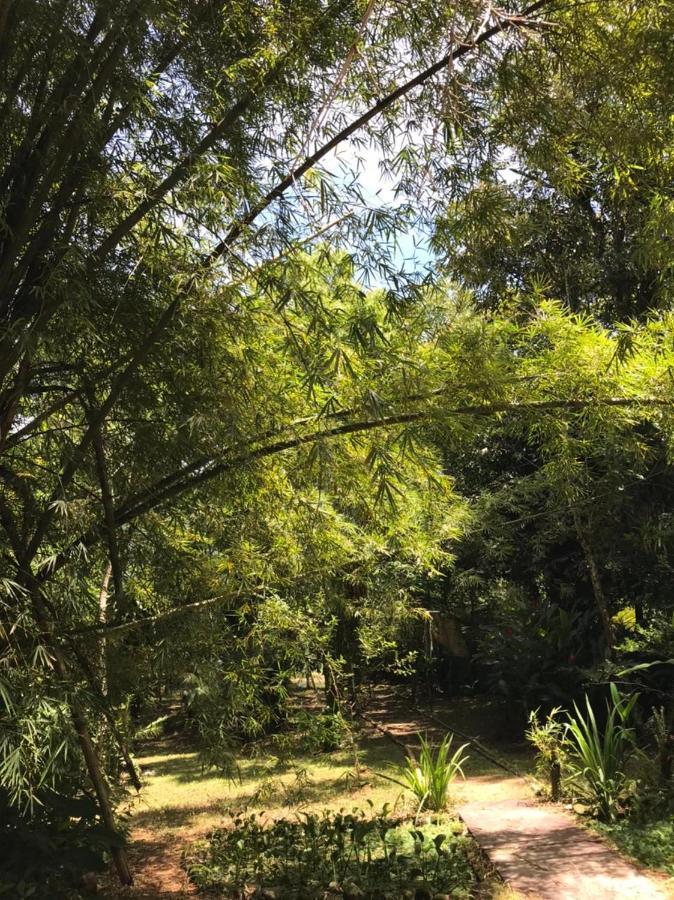 Villa Casa A Beira Do Rio Jaguareguava Na Mata Atlantica Em Bertioga Sp Exterior foto